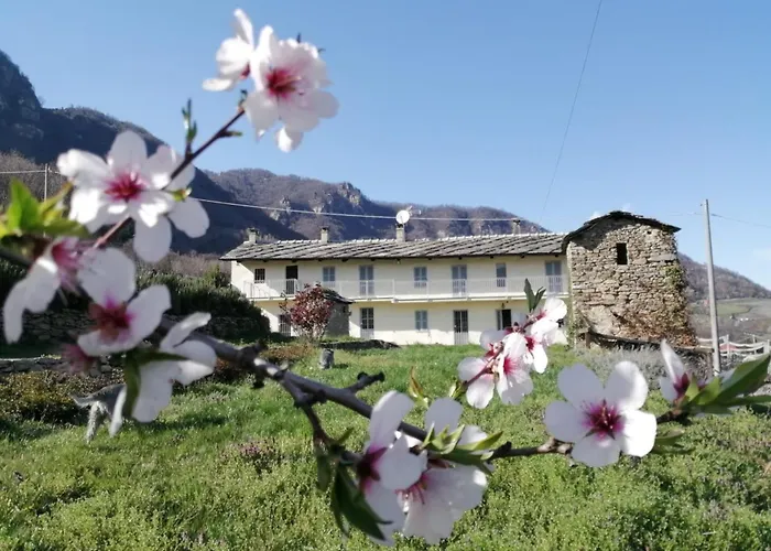 Bed & Breakfast Le Faye 3*